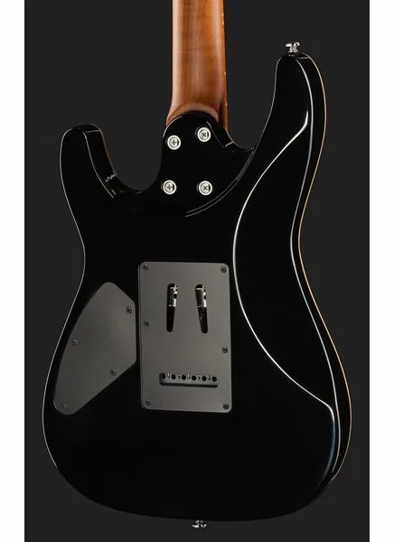 Harley Benton Fusion-IV HH MN QDG, detalje 5