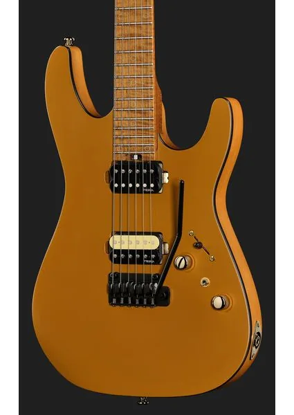 Harley Benton Fusion-IV HH MN SGD, detalje 4