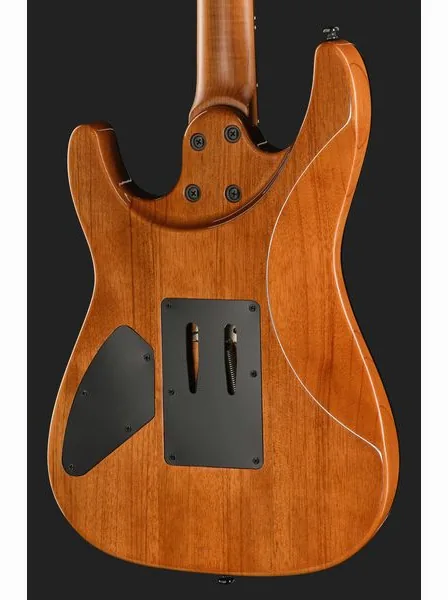 Harley Benton Fusion-IV HH RW FR WM, detalje 5
