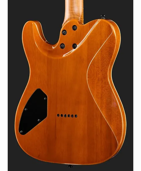 Harley Benton Fusion-T II HH MN HT BM, detalje 5