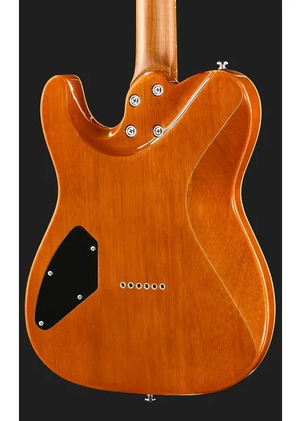 Harley Benton Fusion-T II HH MN HT QBKB, detalje 5