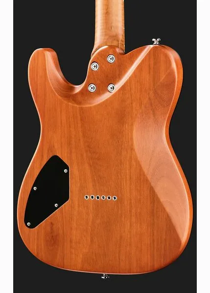 Harley Benton Fusion-T II HH MN HT SGR, detalje 5