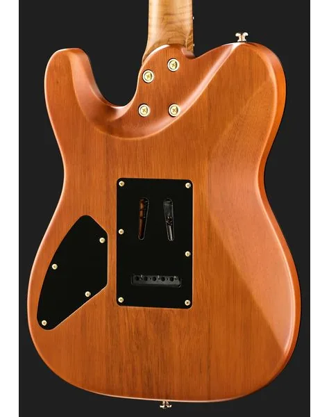 Harley Benton Fusion-T II HH RW SGD, detalje 5
