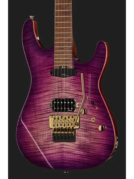 Harley Benton Guitar MAX Fusion Signature PF, detalje 4