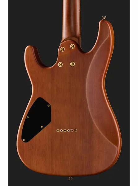 Harley Benton Guitar MAX Fusion Signature WN, detalje 5