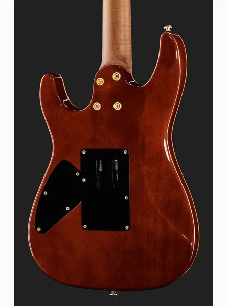 Harley Benton Guitar MAX Fusion Signature EF, detalje 5