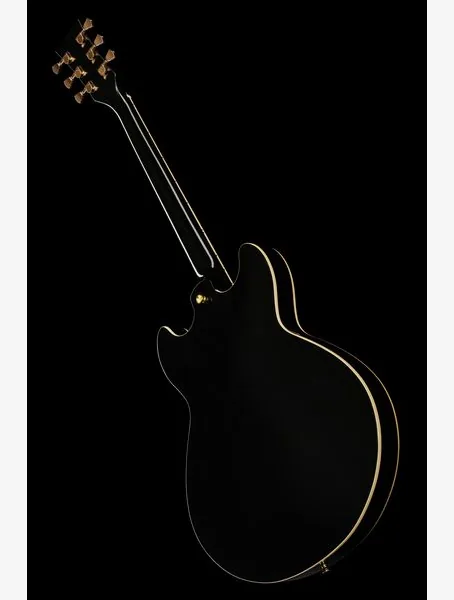 Harley Benton HB-35Plus Black w/Bag, detalje 5
