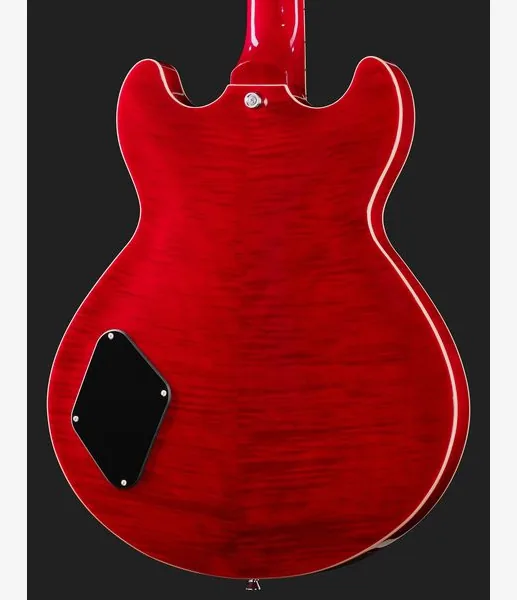 Harley Benton HB-35Plus Rotary TCH, detalje 5