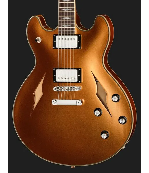 Harley Benton HB-35TL Tesla Golden Mist, detalje 4