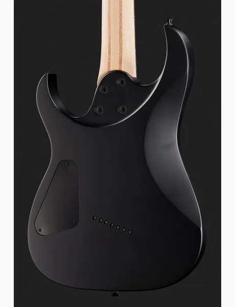Harley Benton MultiScale-7 BBB, detalje 5