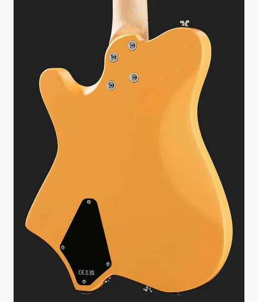 Hils HNT1M Butterscotch, detalje 5