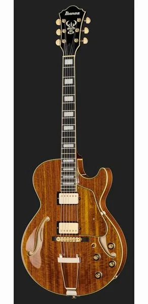 Ibanez AG95K-NT, detalje 2