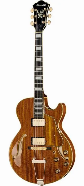 Ibanez AG95K-NT set forfra