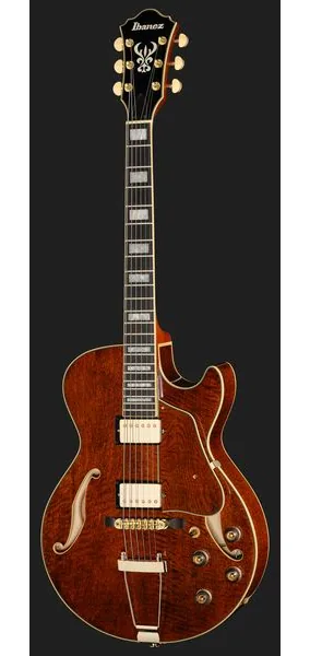 Ibanez AG95MG-DA, detalje 2