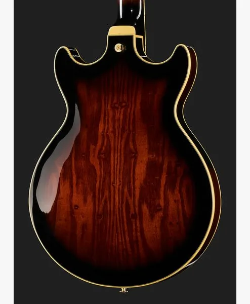 Ibanez AM153QA-DBS, detalje 5