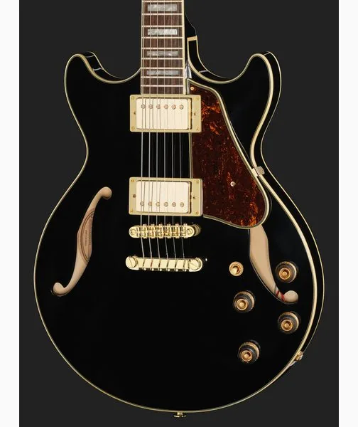 Ibanez AM73G-BK, detalje 4