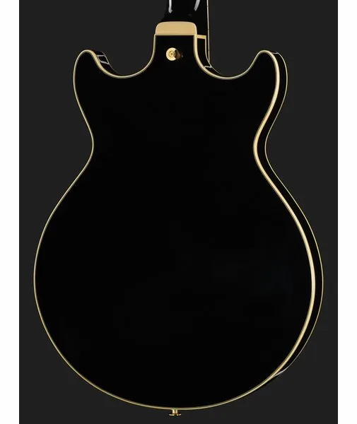 Ibanez AM73G-BK, detalje 5