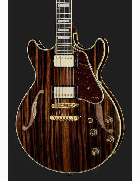Ibanez AM93ME-NT, detalje 4
