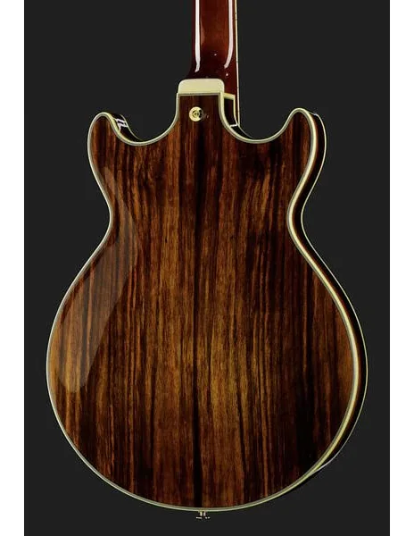 Ibanez AM93ME-NT, detalje 5