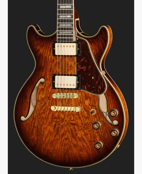 Ibanez AM93QA-VVH, detalje 4