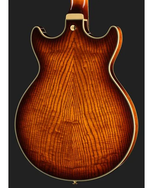 Ibanez AM93QA-VVH, detalje 5