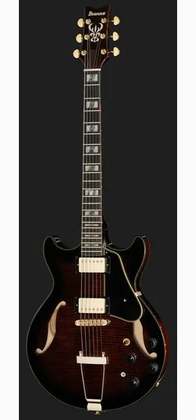 Ibanez AMH100FM-DVS, detalje 2