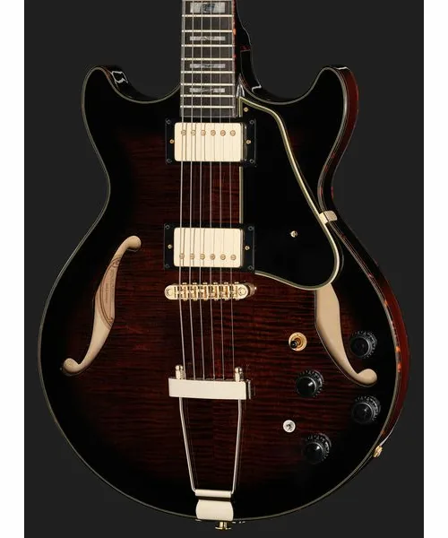 Ibanez AMH100FM-DVS, detalje 4