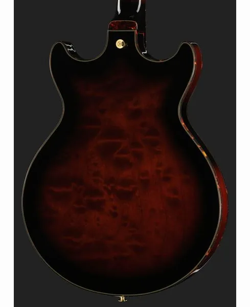 Ibanez AMH100FM-DVS, detalje 5