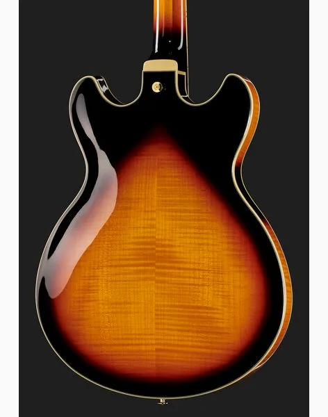 Ibanez AS113-BS, detalje 5