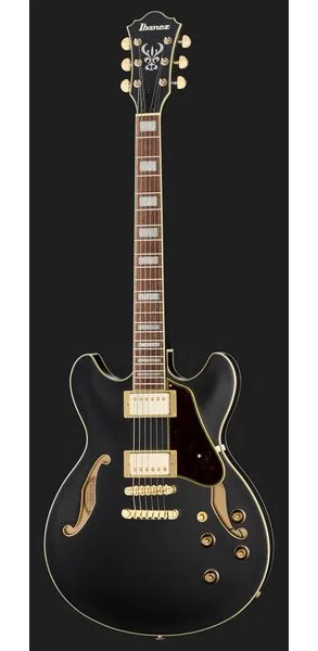 Ibanez AS73 G BKF, detalje 2