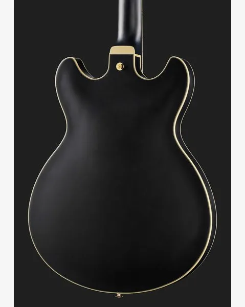 Ibanez AS73 G BKF, detalje 5