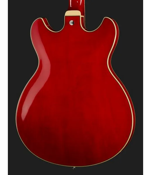Ibanez AS73-TCD, detalje 5