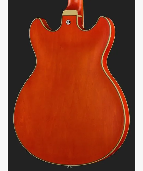 Ibanez AS73-TTF, detalje 5