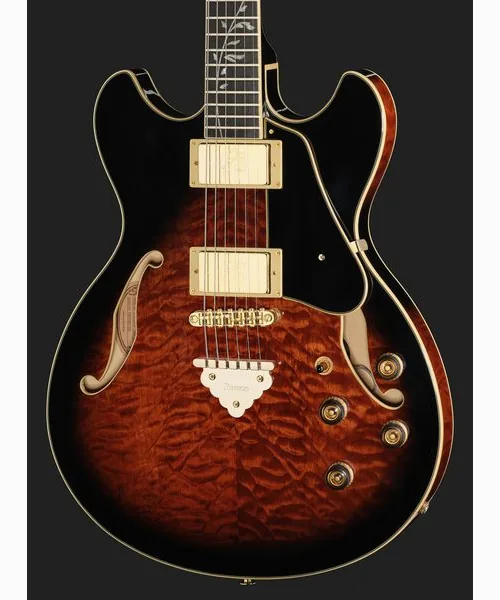 Ibanez AS93QMSP-DBS, detalje 4