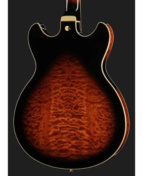 Ibanez AS93QMSP-DBS, detalje 5