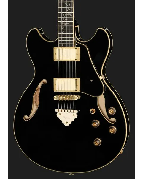 Ibanez AS93SP-BK, detalje 4