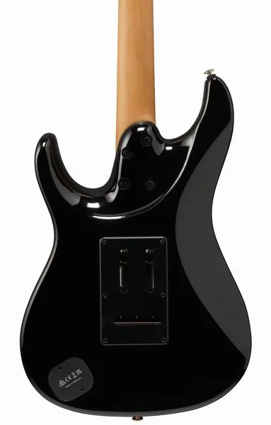 Ibanez AZ41P1EW-NGT, detalje 5