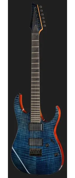 Ibanez GRGR221FA-TDK, detalje 2