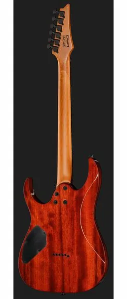 Ibanez GRGR221FA-TDK, detalje 3