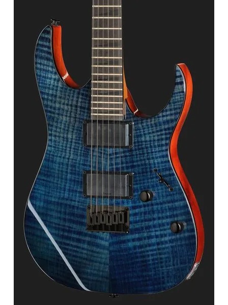 Ibanez GRGR221FA-TDK, detalje 4