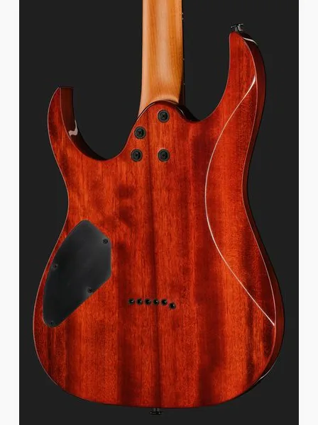 Ibanez GRGR221FA-TDK, detalje 5