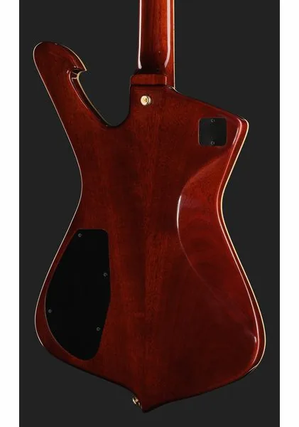 Ibanez IC420FM-TBG, detalje 5