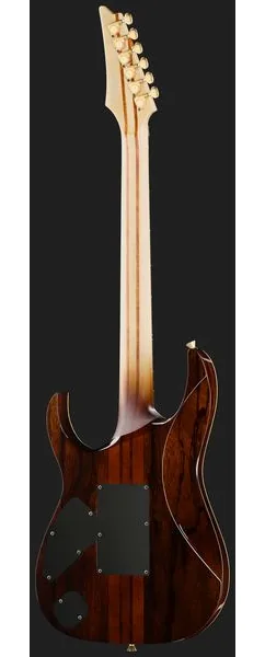 Ibanez IV1RG Visions RG, detalje 3