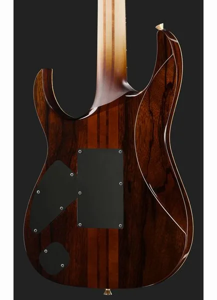Ibanez IV1RG Visions RG, detalje 5