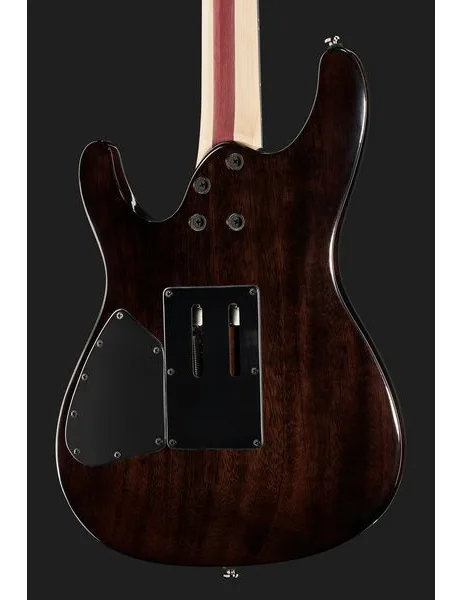 Ibanez JIVA 10-DSB, detalje 5