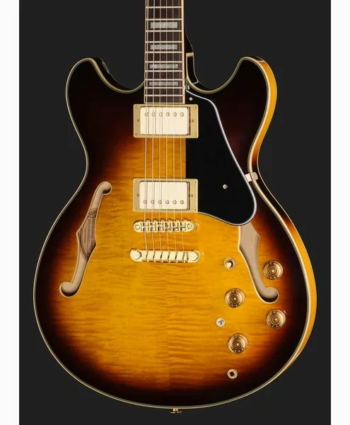 Ibanez JSM10EM-TTB John Scofield, detalje 4