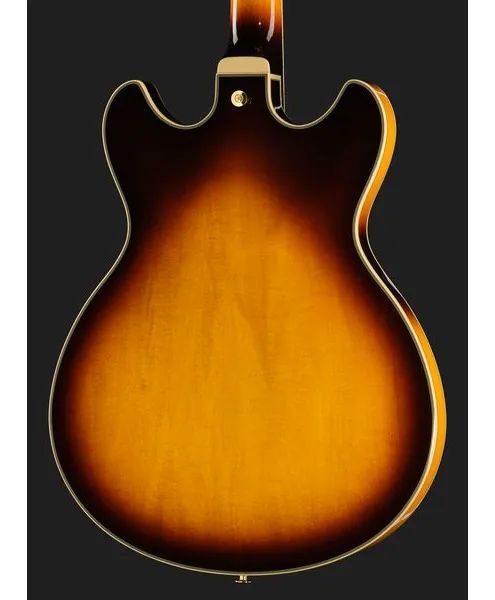 Ibanez JSM10EM-TTB John Scofield, detalje 5