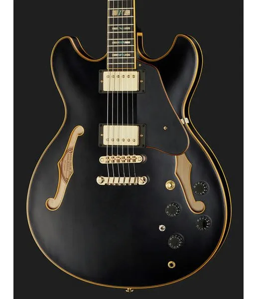Ibanez JSM20-BKL, detalje 4