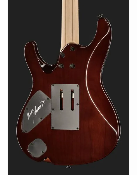 Ibanez KIKO100-TRR, detalje 5