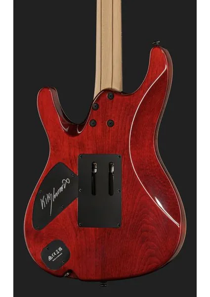 Ibanez KIKO10BP, detalje 5